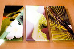 canvas_new_m